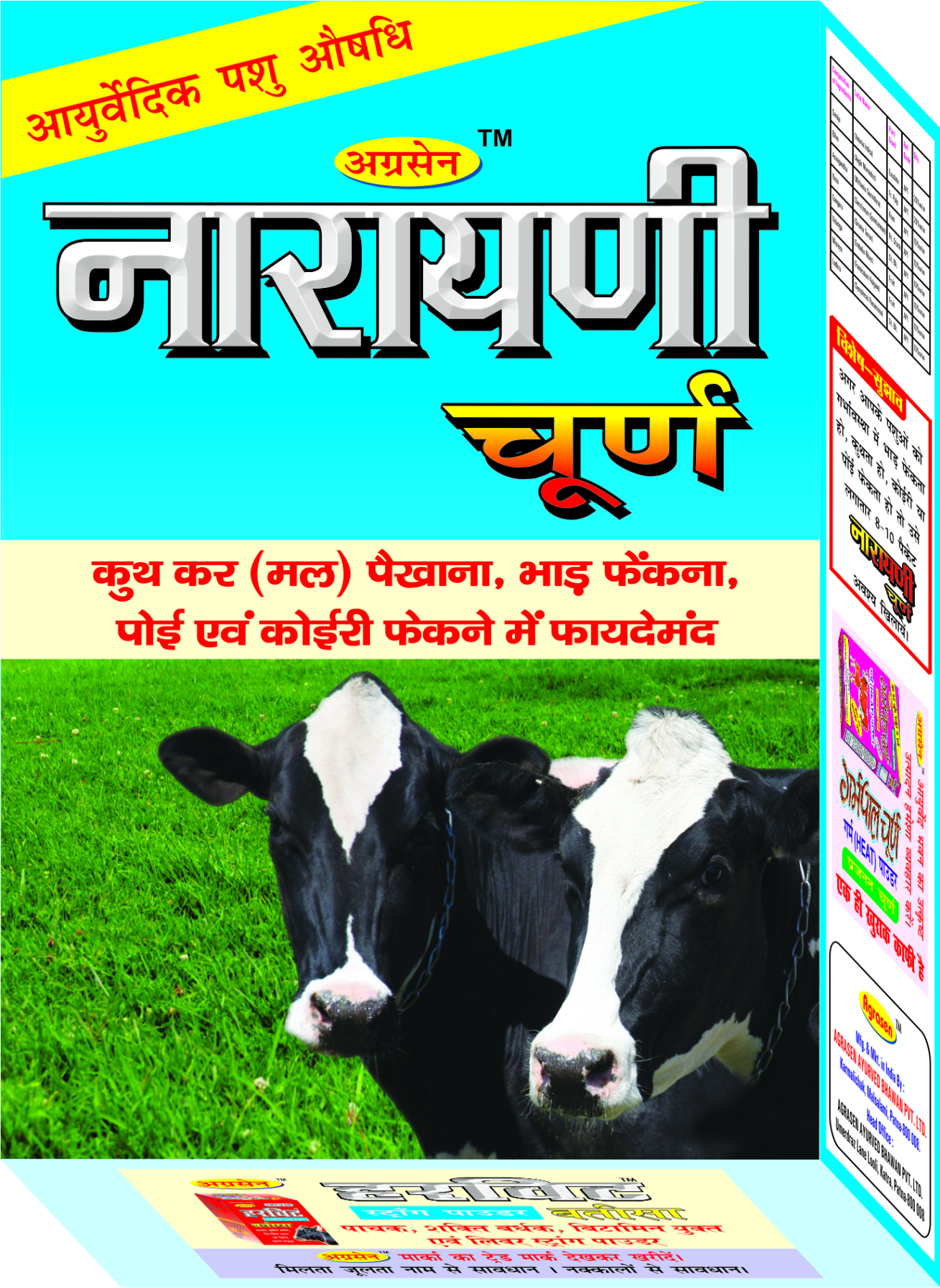 NARAYANI CHURN NARAYANI CHURN